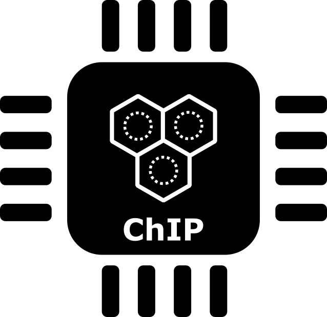 Chemical Information Processing